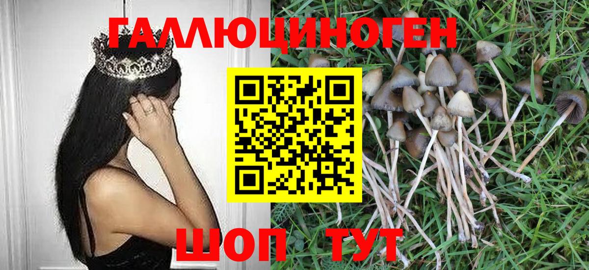 купить наркотики цена  Вход с VPN  Каменск-Уральский  Галлюциногенные грибы мицелий 